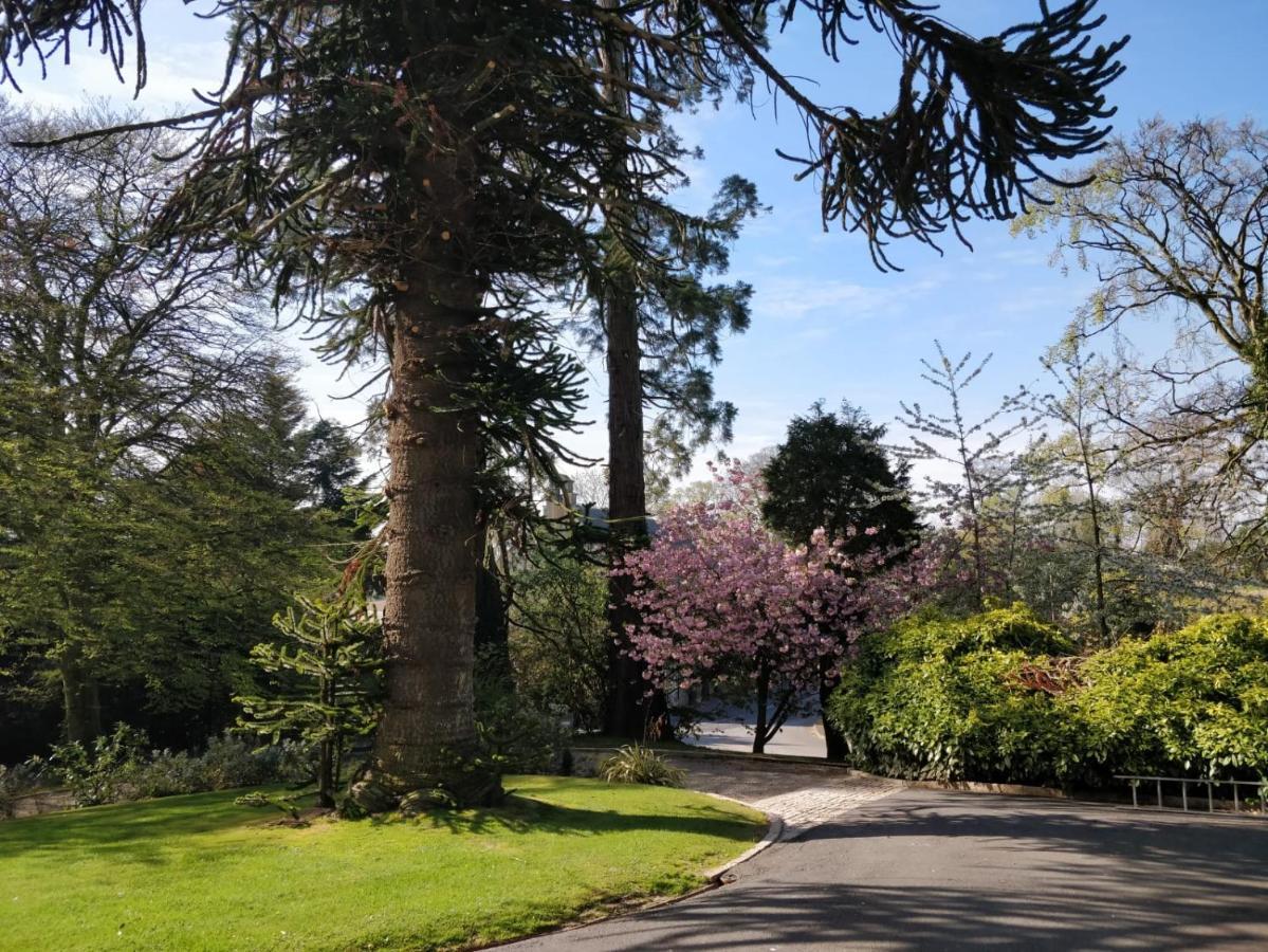 Banoge House Hotel Donaghcloney Eksteriør billede