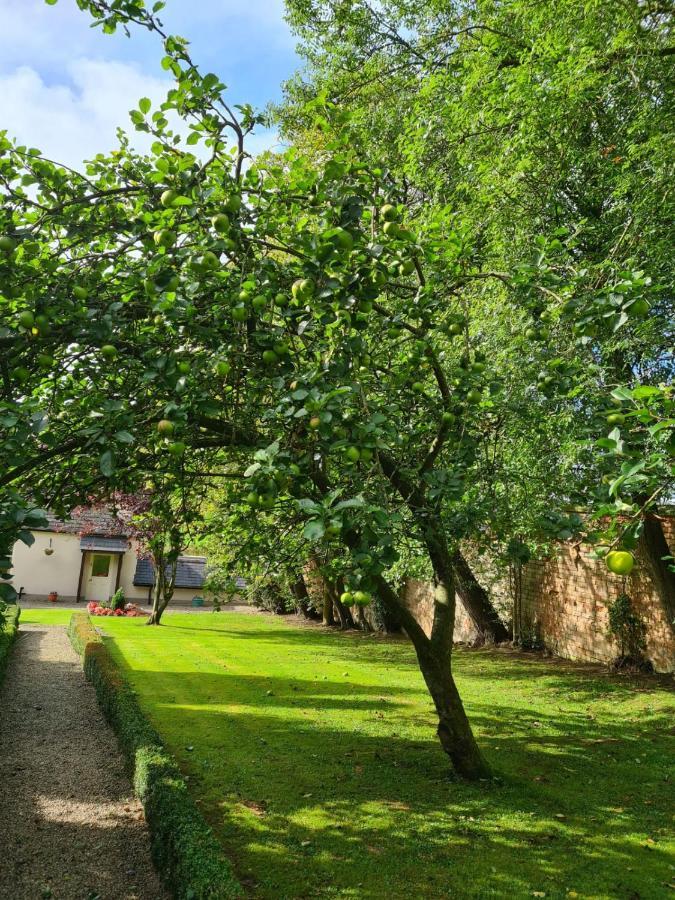 Banoge House Hotel Donaghcloney Eksteriør billede